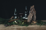 Sotor Vineyards, Planet Oregon Label