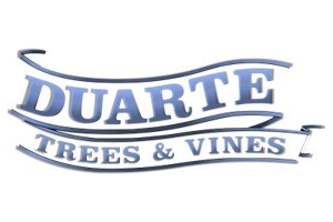 Duarte Trees and Vines