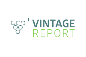 Vintage Report logo