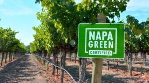 Napa Green Sign