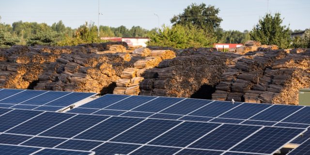 Boise Oak and Solar Panels