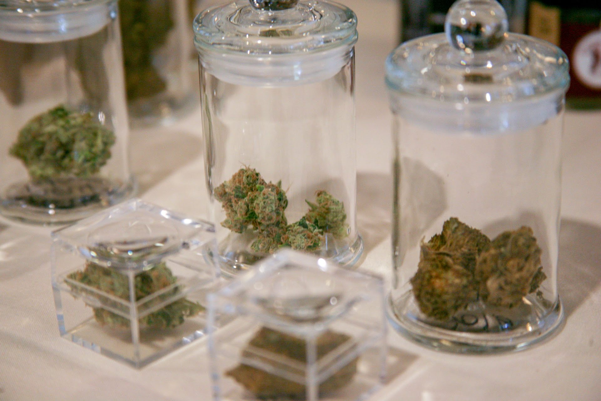 Different cannabis flowers on display during the 2019 Wine & Weed Symposium