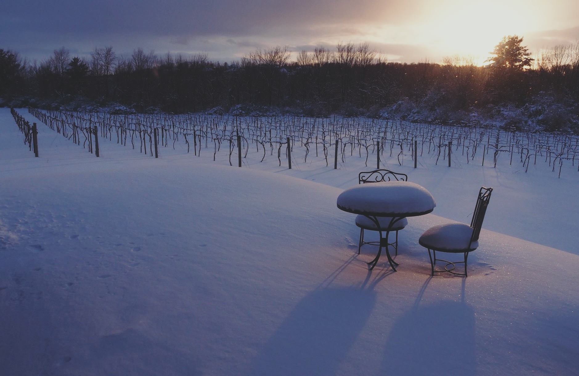 Winter at Shelburne Winery in Shelburne, Vermont / Courtesy Shelburne Vineyard
