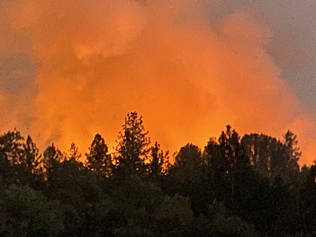 Caldor's fire continues to blaze through the Sierra wine country