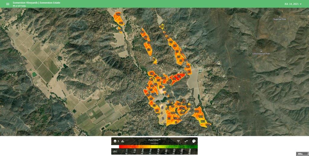 VineView aerial mapping of Somerston Estate following the 2020 fires / Courtesy Craig Becker