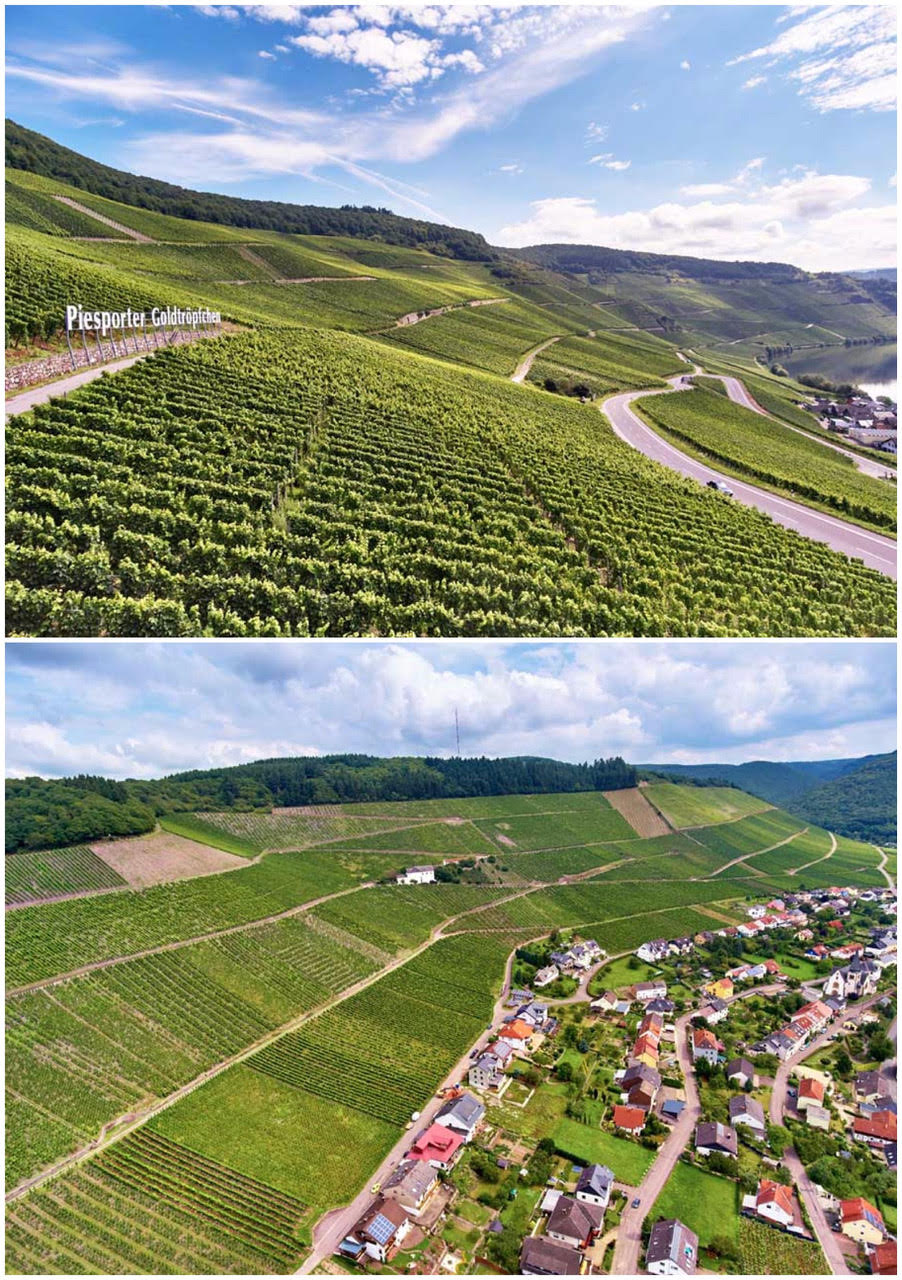 Mittel Mosel growths: Piesporter Goldtropfchen (top) associated with lower acid, fruit focused Rieslings, and Ockfener Bockstein (bottom) associated with higher acid, minerally styles of Rieslings / Courtesy VDP