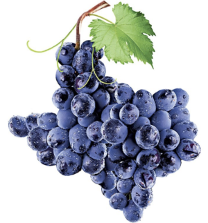 texas wine & grape growers association