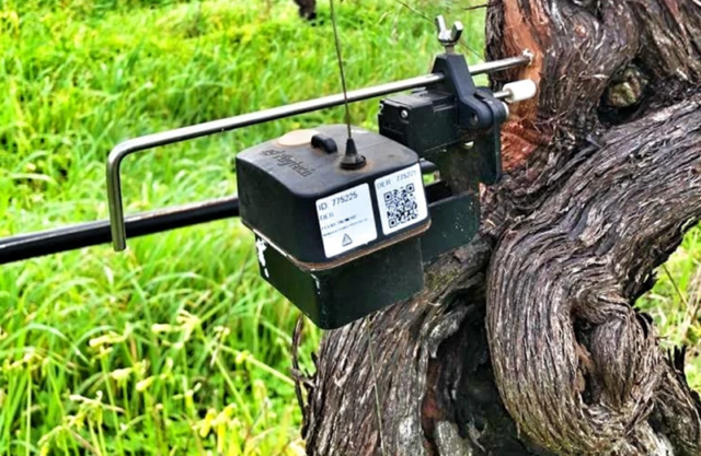 Groundbreaking Plant Monitoring System Takes the Guesswork Out of  Irrigation, Vineyard Management Practices - Wine Industry Advisor