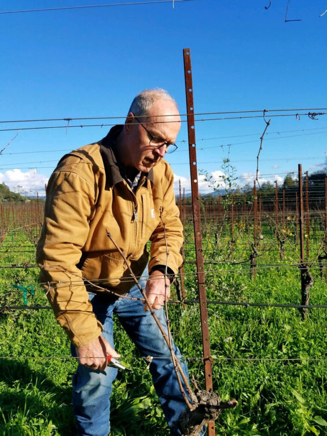 Ron Rosenbrand, viticulturist, Spring Mountain Vineyard