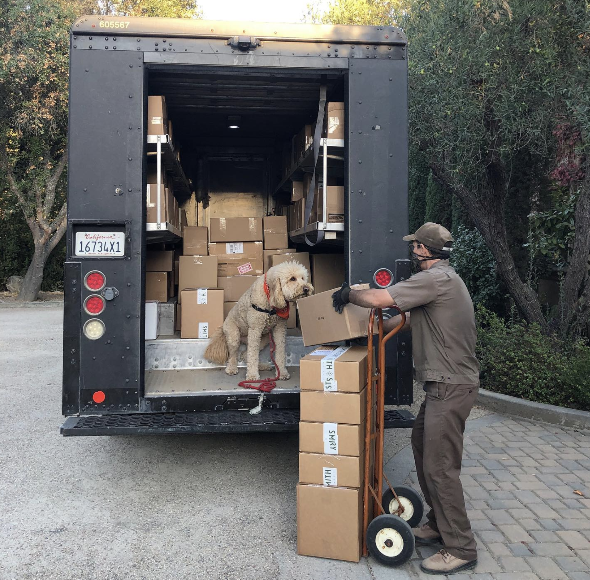 Ali estimates that in the short eight years of her winery’s life, she's packed and shipped over 15,000 DtC orders since their first release in March of 2015.