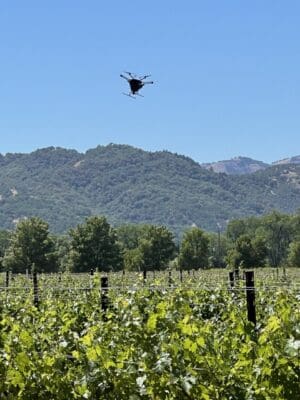 One of UAV-IQ’s BioDrop drones releasing beneficial insects and mites over one of Bonterra Organic Estates’ vineyards