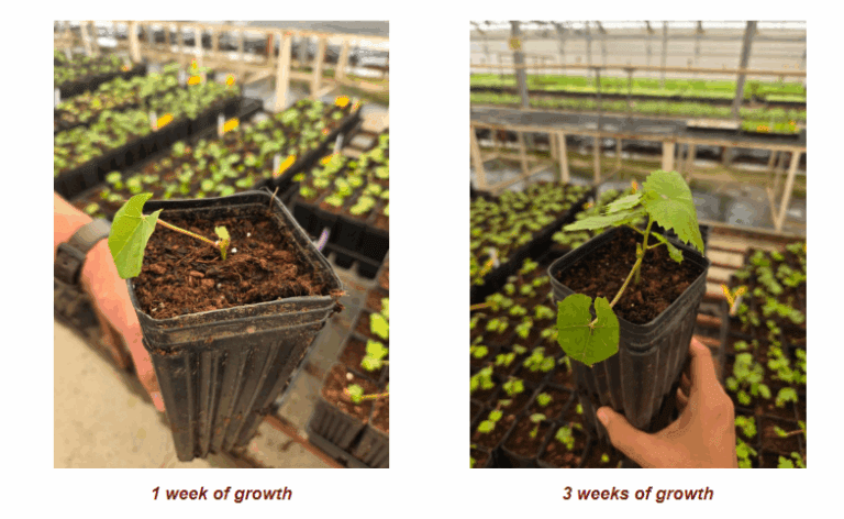 1921d8f1e66a1581f890998f675fef0e376ab612