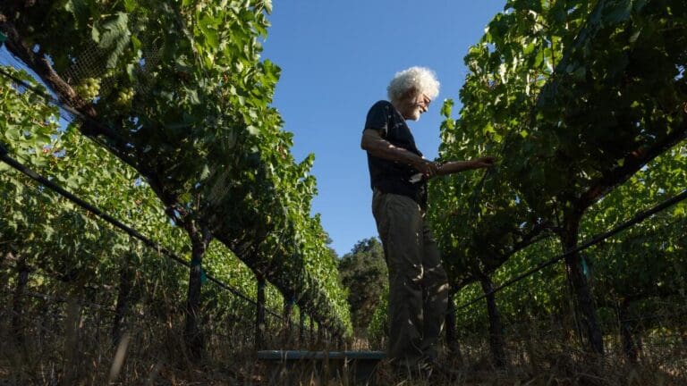 urlhttps3A2F2Fcalifornia-times-brightspot.s3.amazonaws