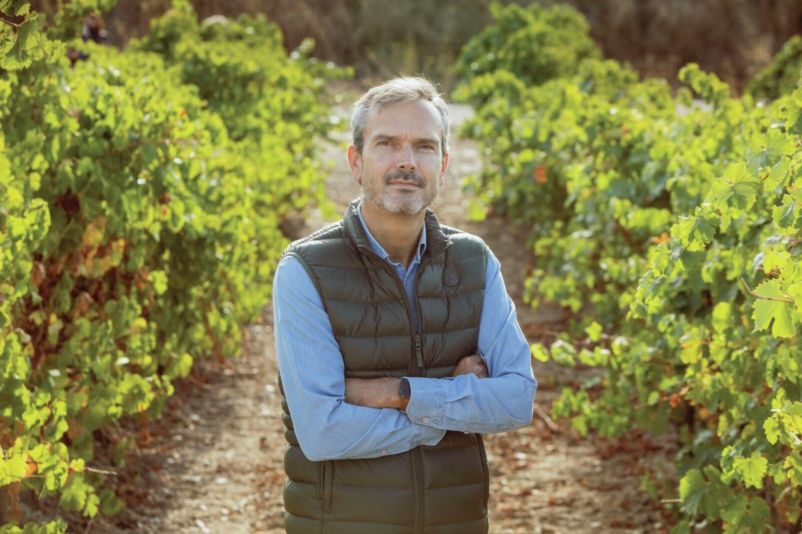 thedrinksbusiness.com