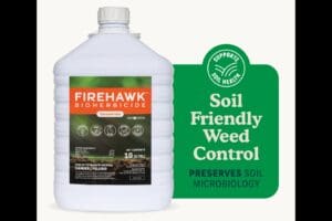 cropped-image-6920d02190ddc