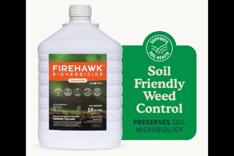 cropped-image-6920d02190ddc