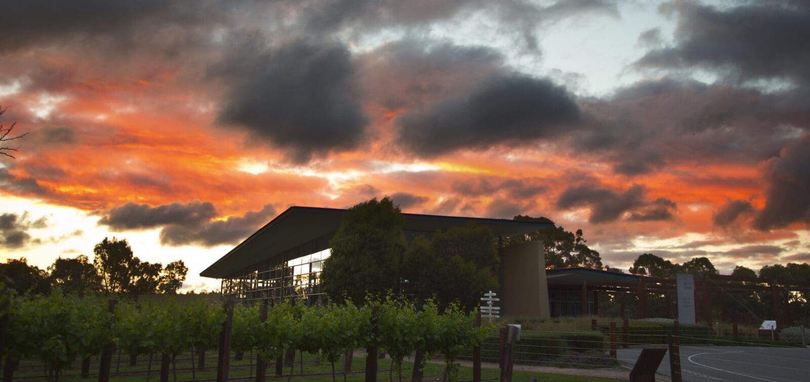 thedrinksbusiness.com