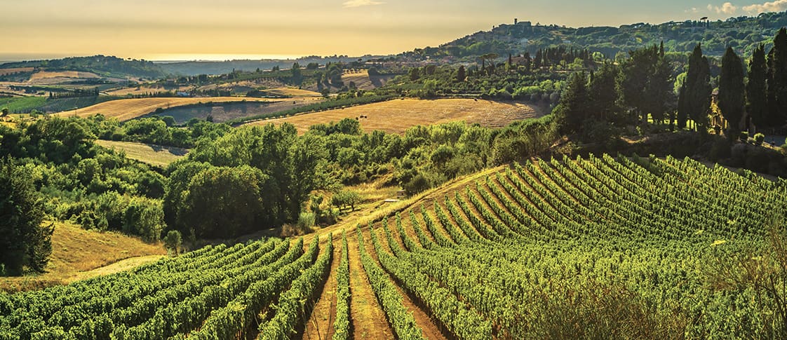 mofflylifestylemedia.com