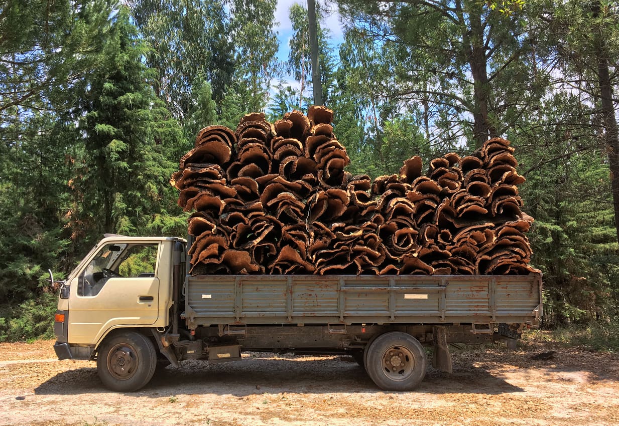 thedrinksbusiness.com