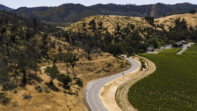 thedrinksbusiness.com