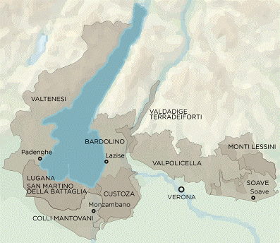 grape-experiences.com