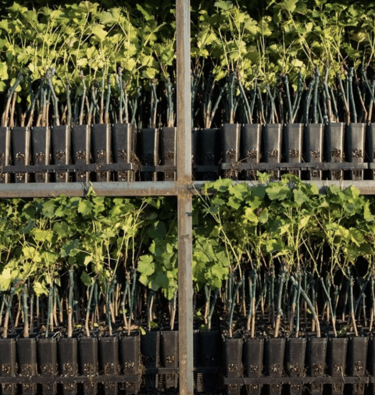 f3d85a0820eb67d5ccd4f852dba63590a8350c7f