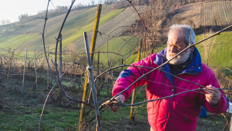 daily.sevenfifty.com