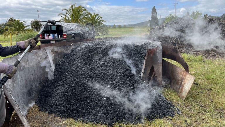 daily.sevenfifty.com