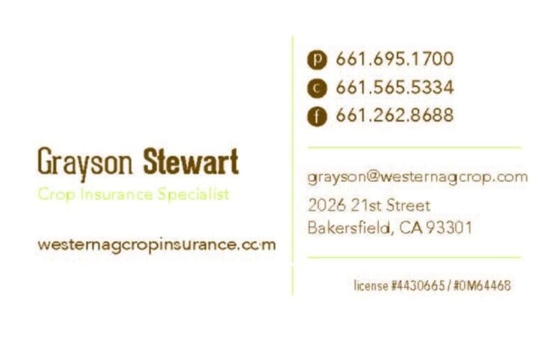 cropped-image-69b2f3fa92a79