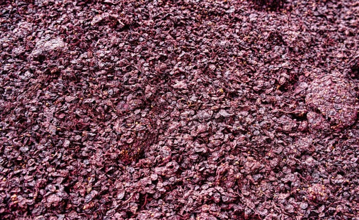 freshfruitportal.com