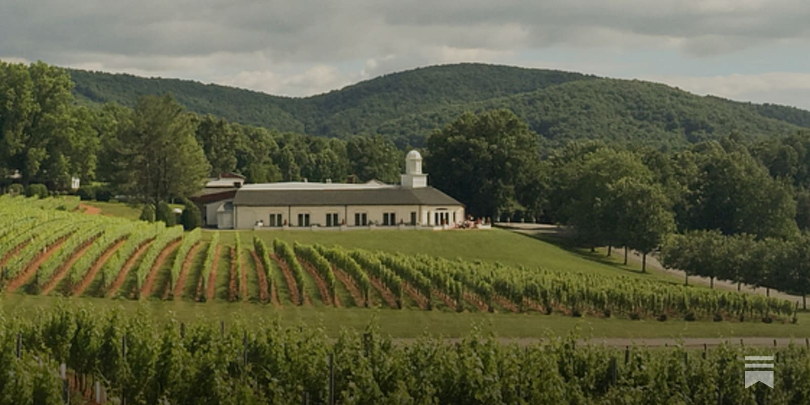 dmwineline.substack.com