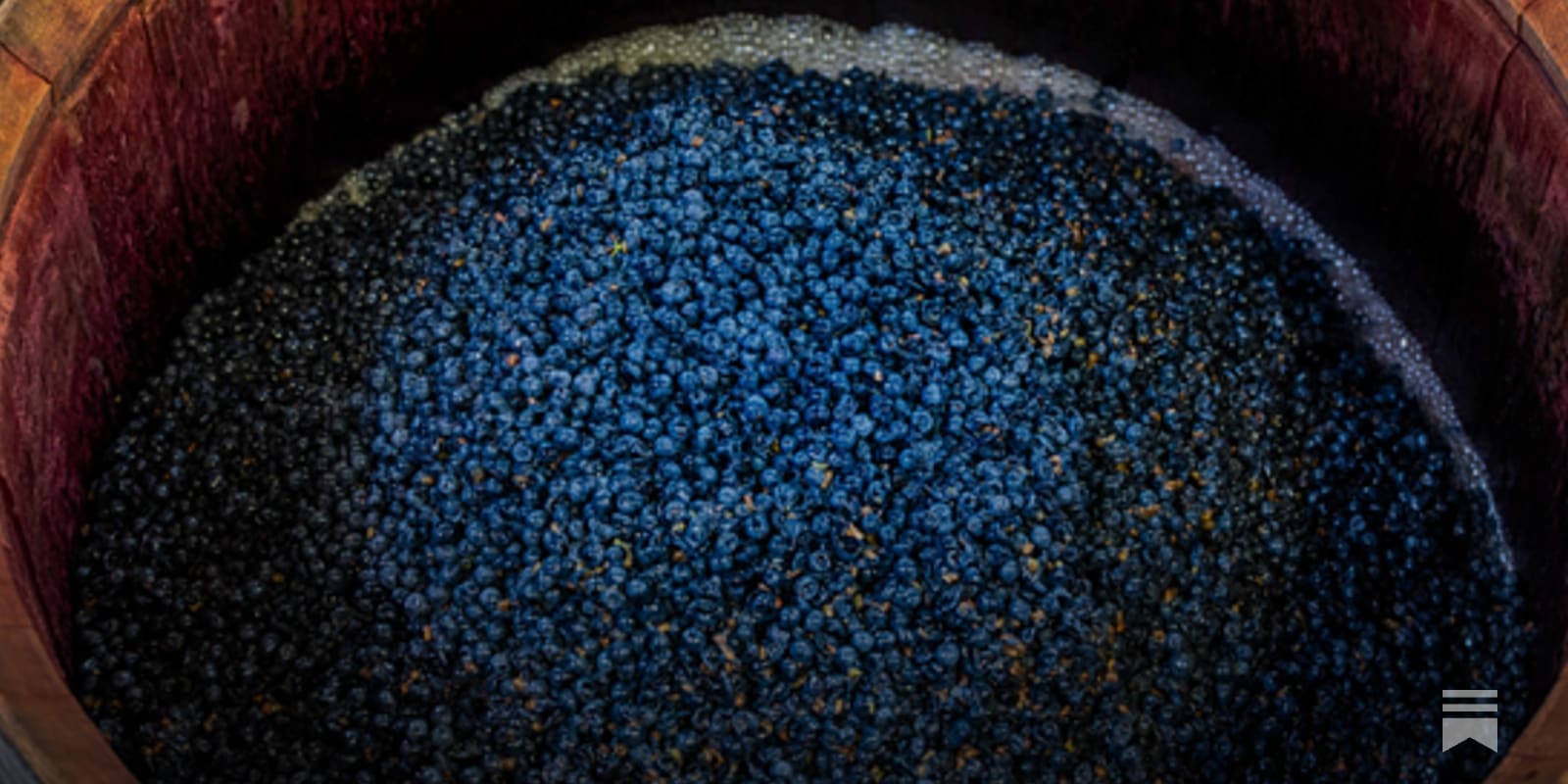 napavalleyfocus.substack.com