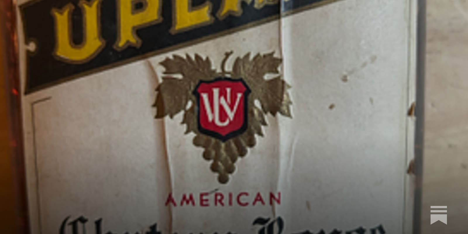 paulgregutt.substack.com