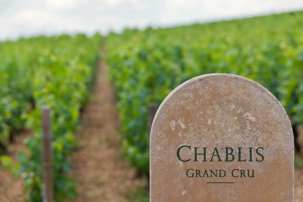 thedrinksbusiness.com