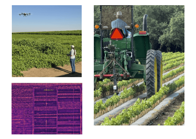 17a96b33b3ed64f8e71307c232974a04f3ebbda8