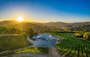 LiZoVineyard-arial-1