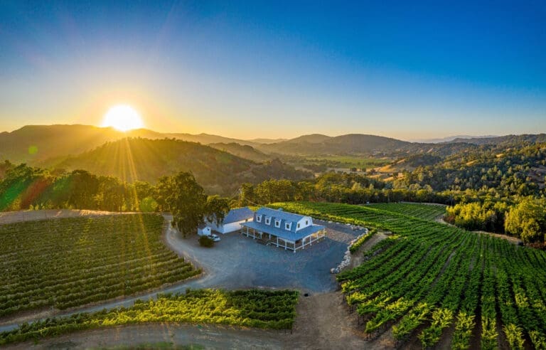 LiZoVineyard-arial-1