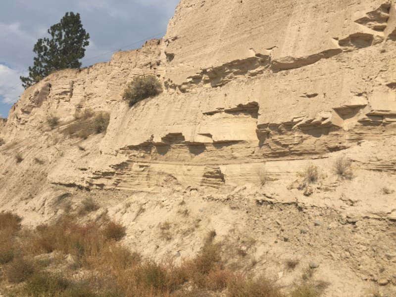 winereviewonline.com