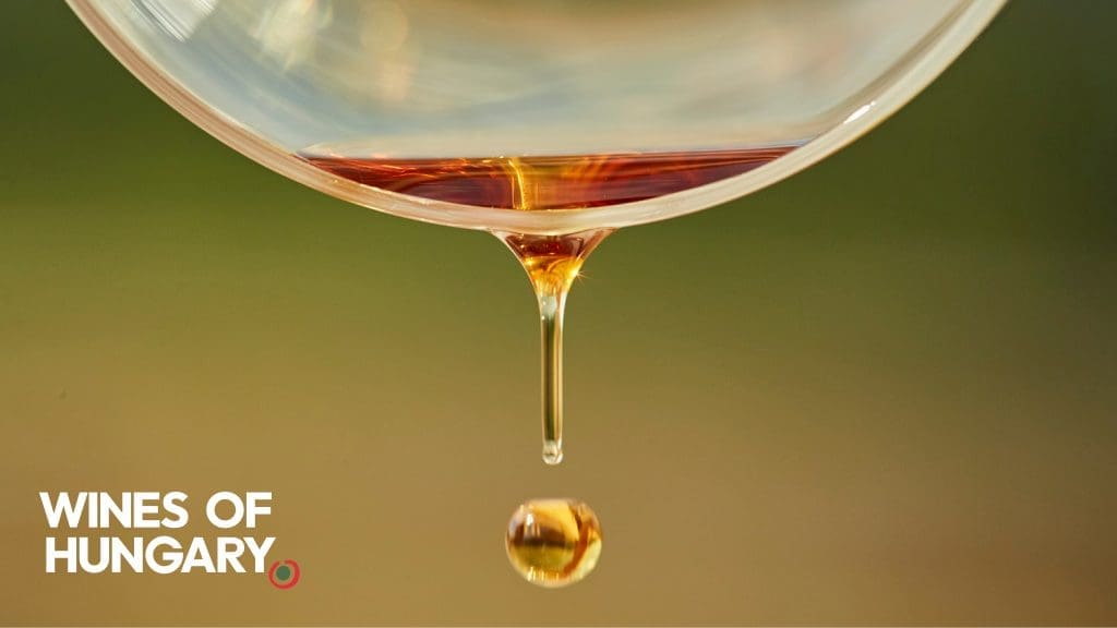 thedrinksbusiness.com