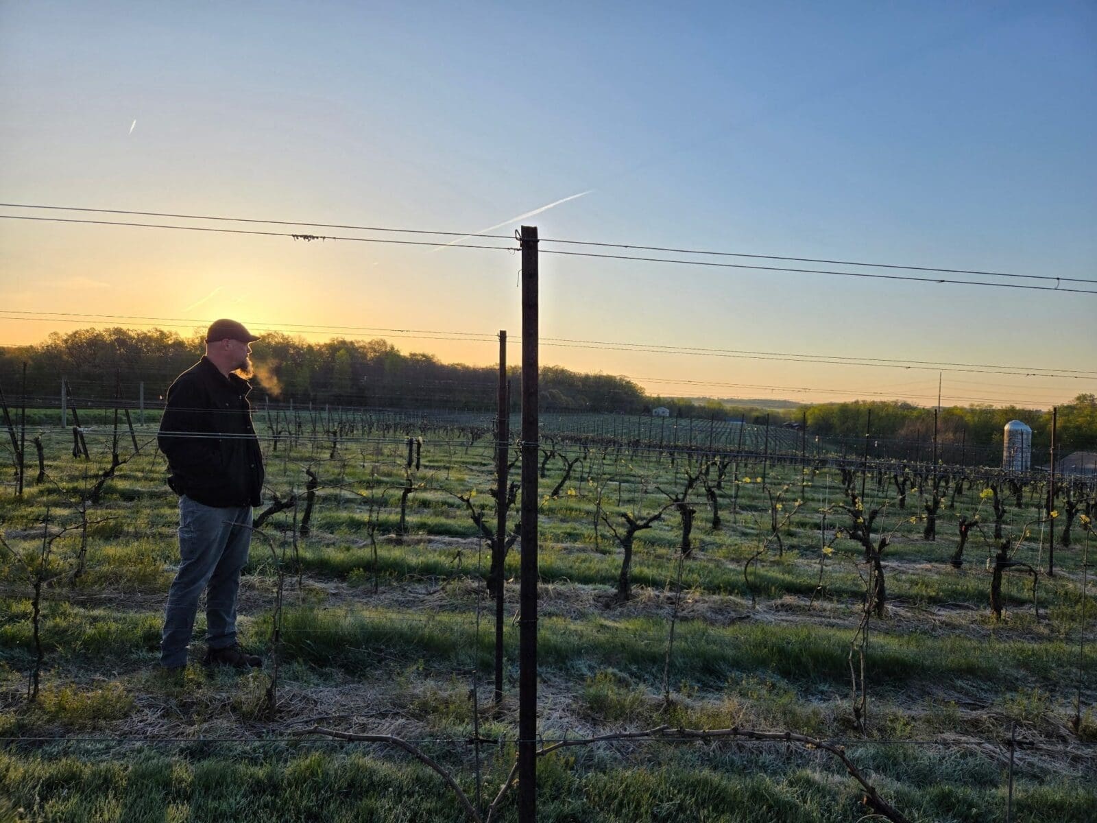 wineclassroom.substack.com