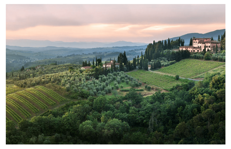 grape-experiences.com