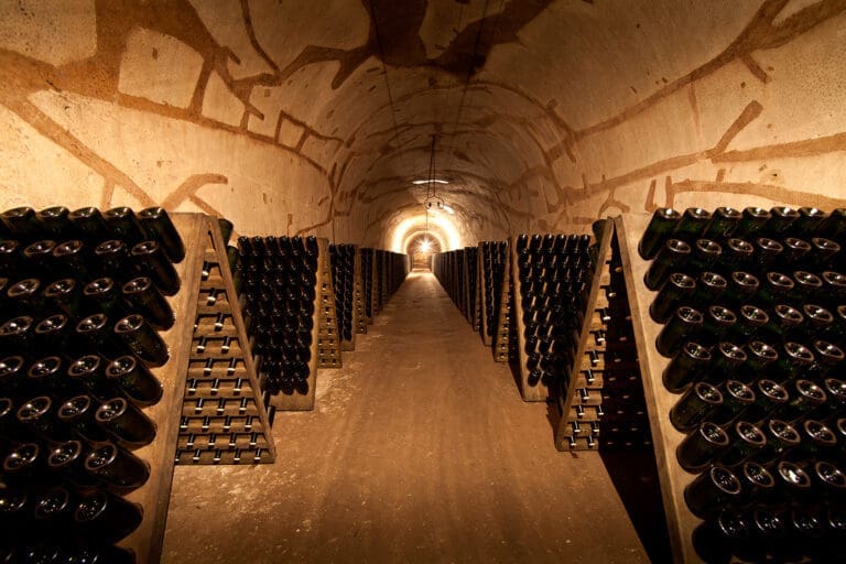 Pol-Roger-cellars