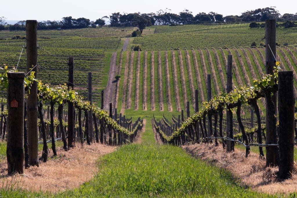 winetitles.com.au