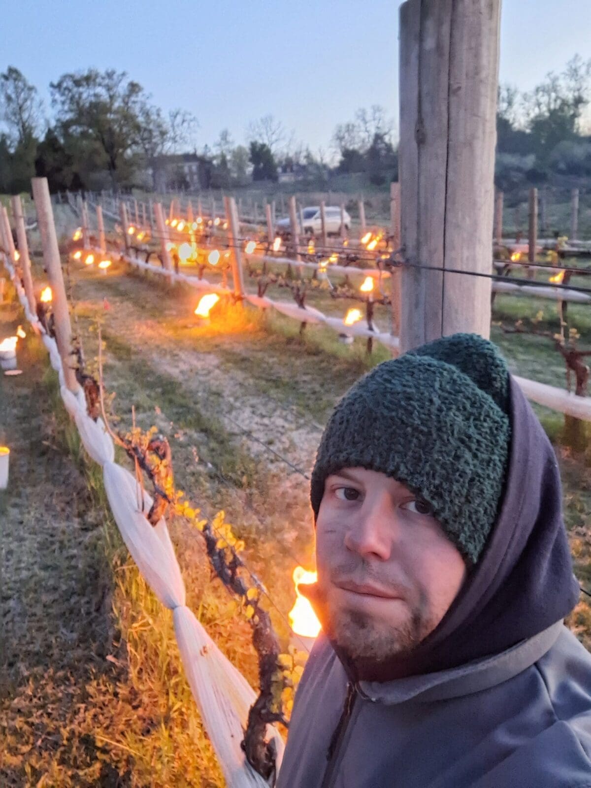 wineclassroom.substack.com