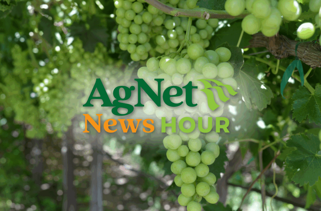 agnetwest.com